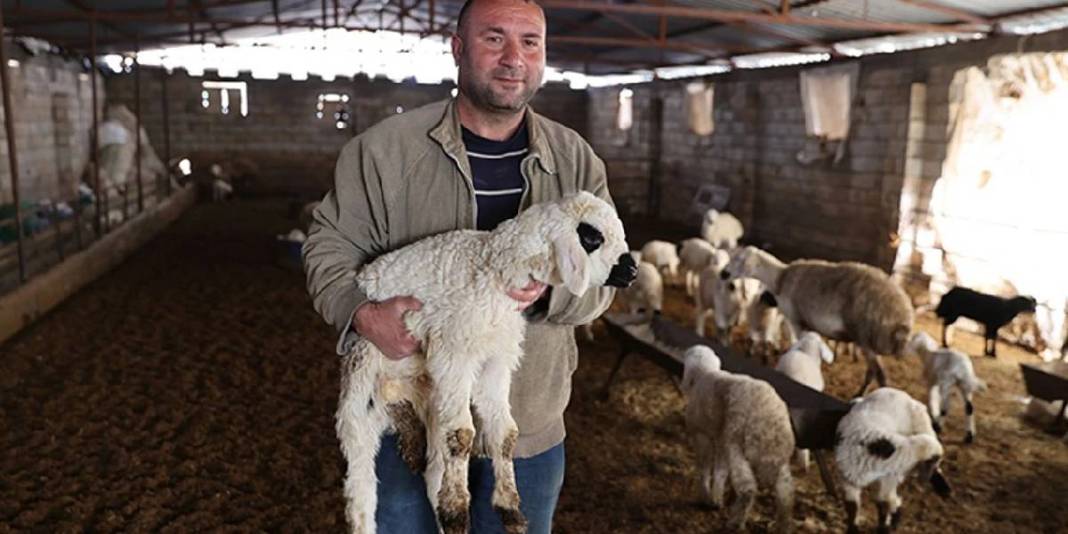 Depremde kaybetti devlet desteği yenilerine kavuşturdu: Şimdi sürüsünü büyütüyor 5